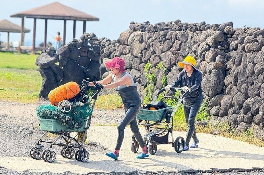 Jeju Island Eastern UNESCO site Full Day Guided Tour 5