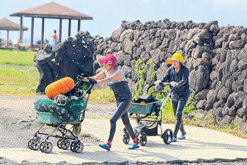 Jeju Island Eastern UNESCO site Full Day Guided Tour 5
