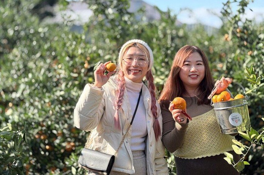 Jeju Island Eastern UNESCO site Full Day Guided Tour 4