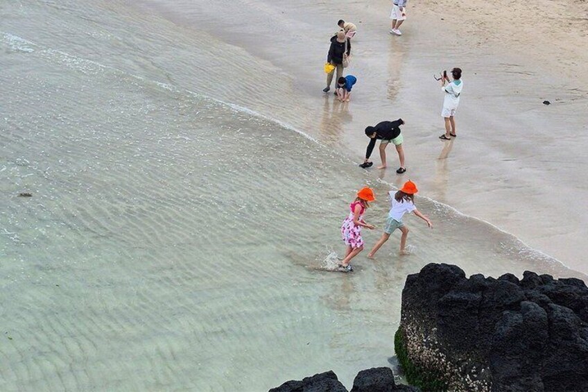 Jeju Island Eastern UNESCO site Full Day Guided Tour 2