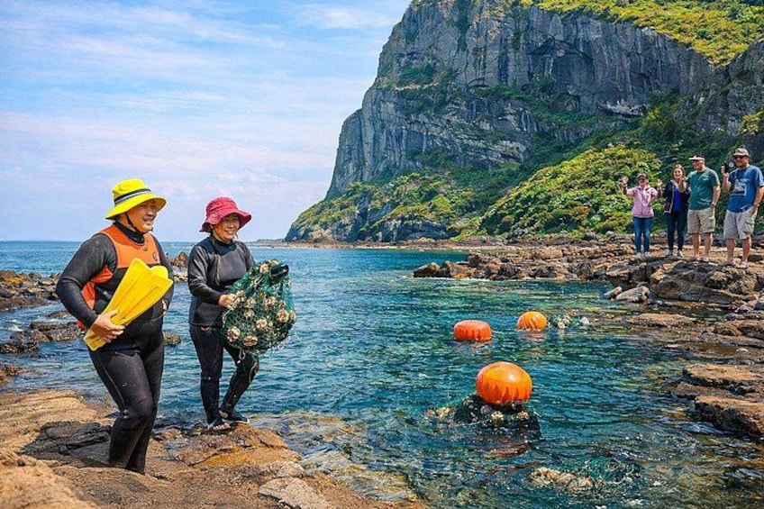 Jeju Island Eastern UNESCO site Full Day Guided Tour 2