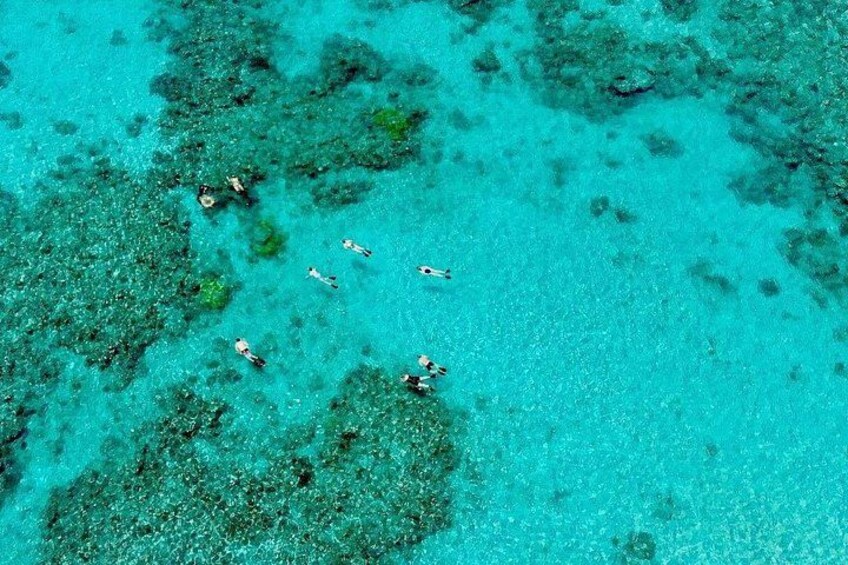 ABC smallest guided groups on the outer reef 3