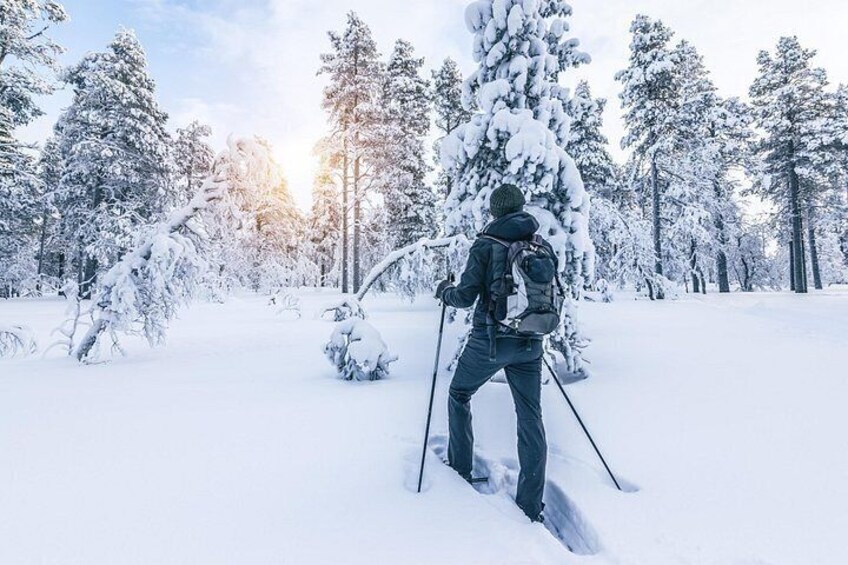 A person cross-country skiing in a snowy forest. 2