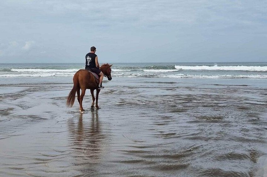 A person riding a horse on a beach with waves in the background. 2