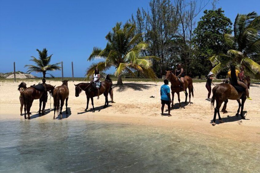 Una spiaggia con cavalli, cavalieri, palme e acqua cristallina. 3