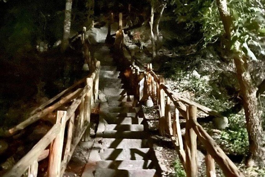 A wooden staircase surrounded by trees. 3