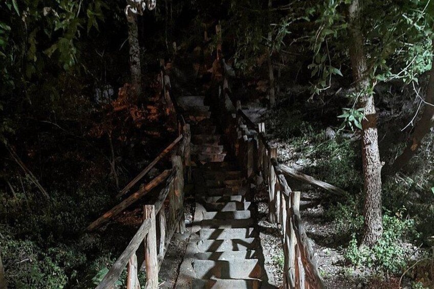A wooden staircase leading into a forested area. 2