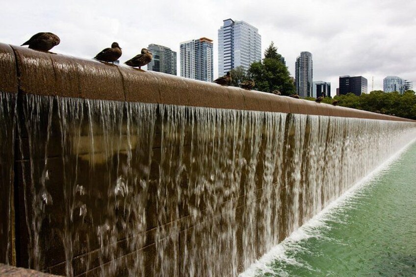 Bellevue 2