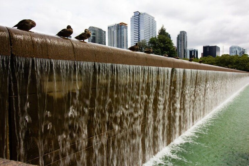 Bellevue 2