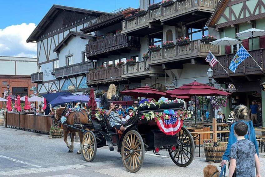 Browsing in Bavarian village 3