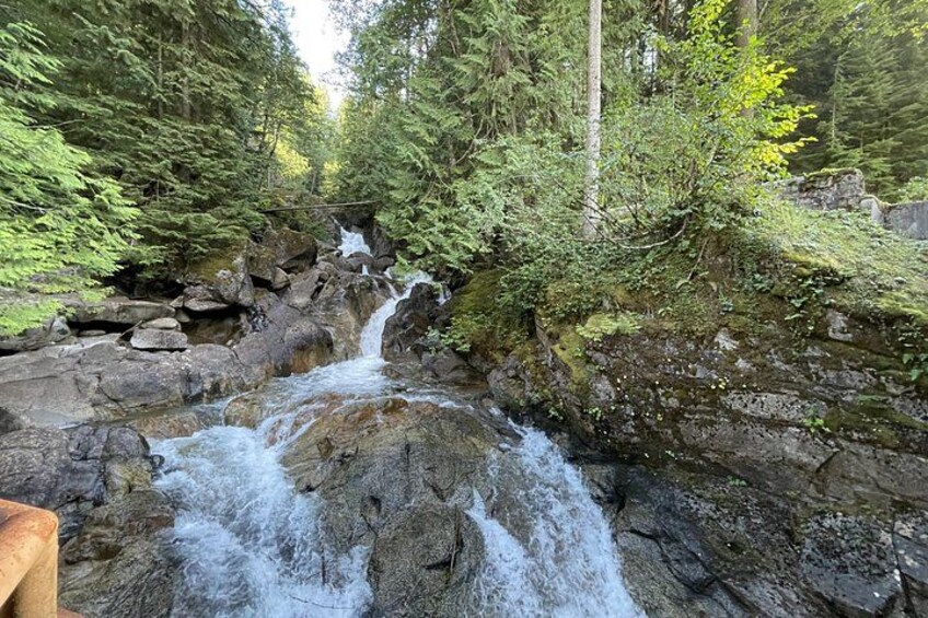 Enjoy the nature 2