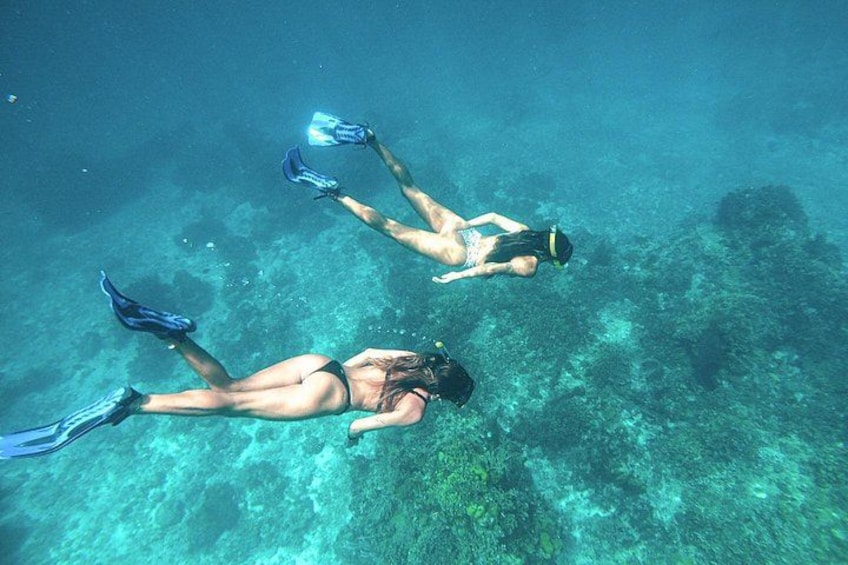 El Cielo Cozumel Snorkel Share Boat + Reefs + Food Drinks + Beach 5