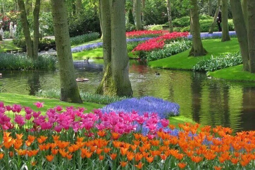 Private Tour to Keukenhof (Flower Garden) 5 hours