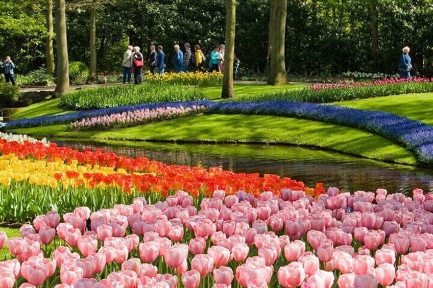 Private Tour to Keukenhof (Flower Garden) 5 hours