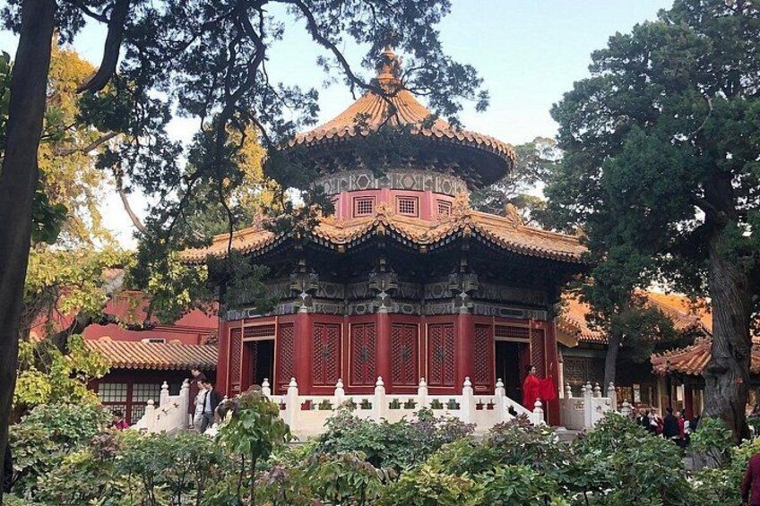 The Forbidden City & the Imperial Palace 2