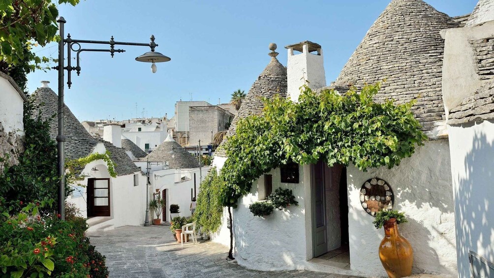 Picture 9 for Activity From Lecce: Ostuni, Alberobello, Polignano Tour 3