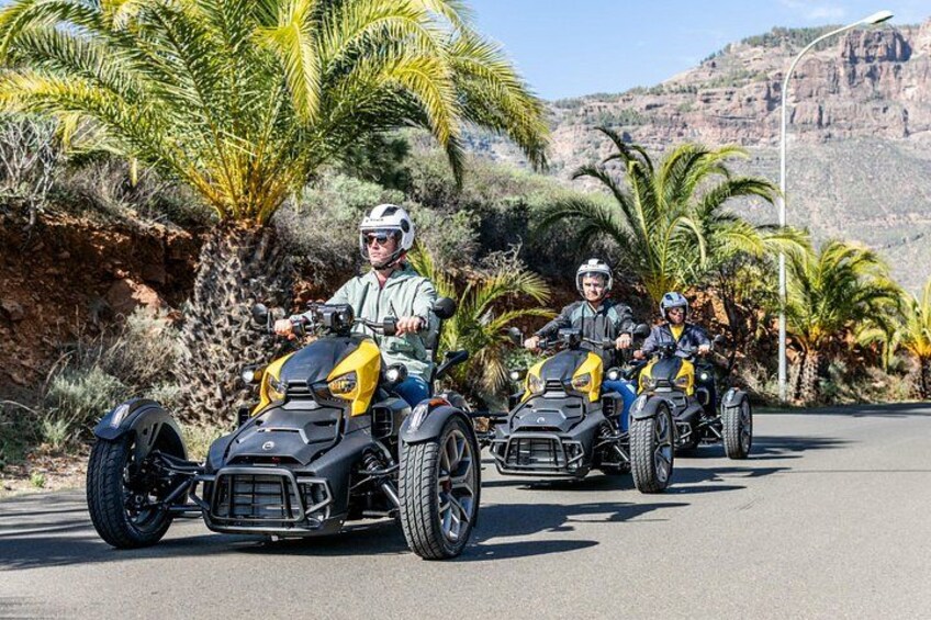 Three people riding all-terrain vehicles on a road with palm trees and rocky hills in the background. 3