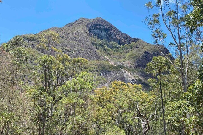 Glass House Mountains Tour by Joel's Journeys