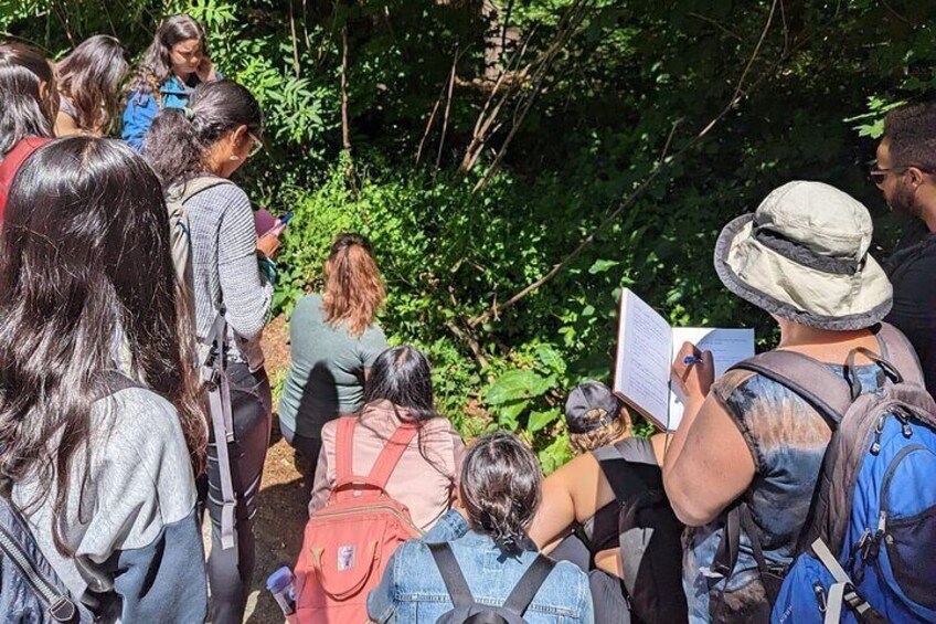 North Vancouver Foraging Workshop Tour