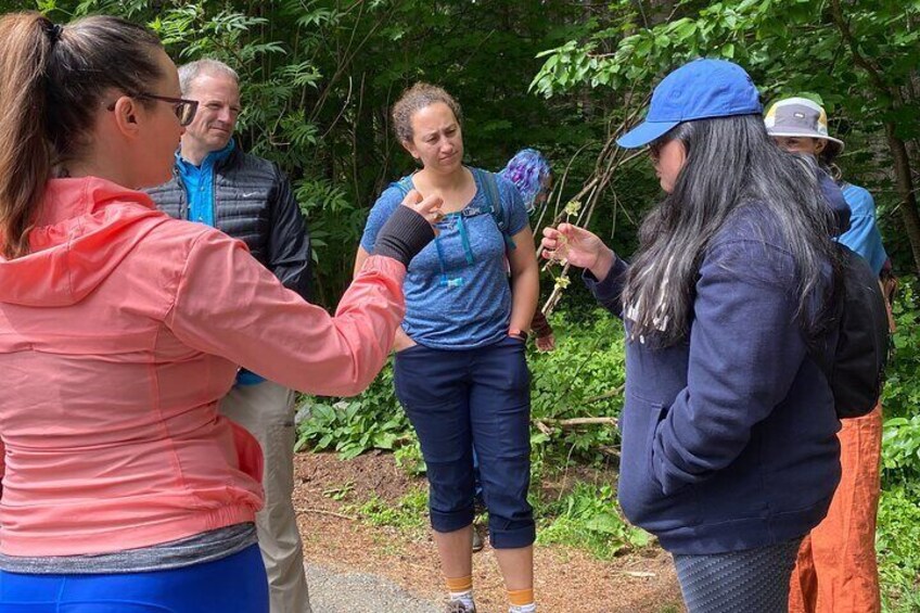 North Vancouver Foraging Workshop Tour