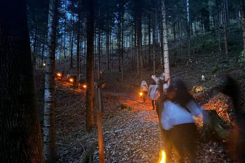 Guided llama hike with traditional raclette 1