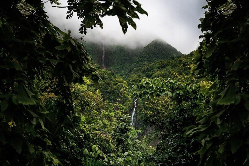 Full Day Tour of Guadeloupe 2