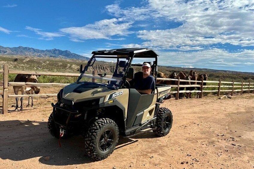 A person in a 4x4 vehicle with a fence and animals in the background. 4