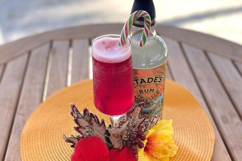 Mixology Class in Bridgetown – 10 Minutes from Cruise Terminal 1