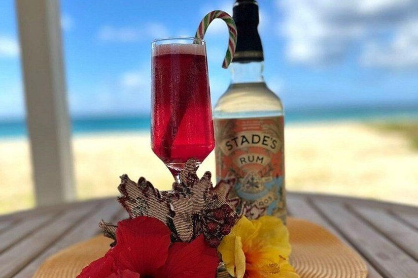Mixology Class in Bridgetown – 10 Minutes from Cruise Terminal 3