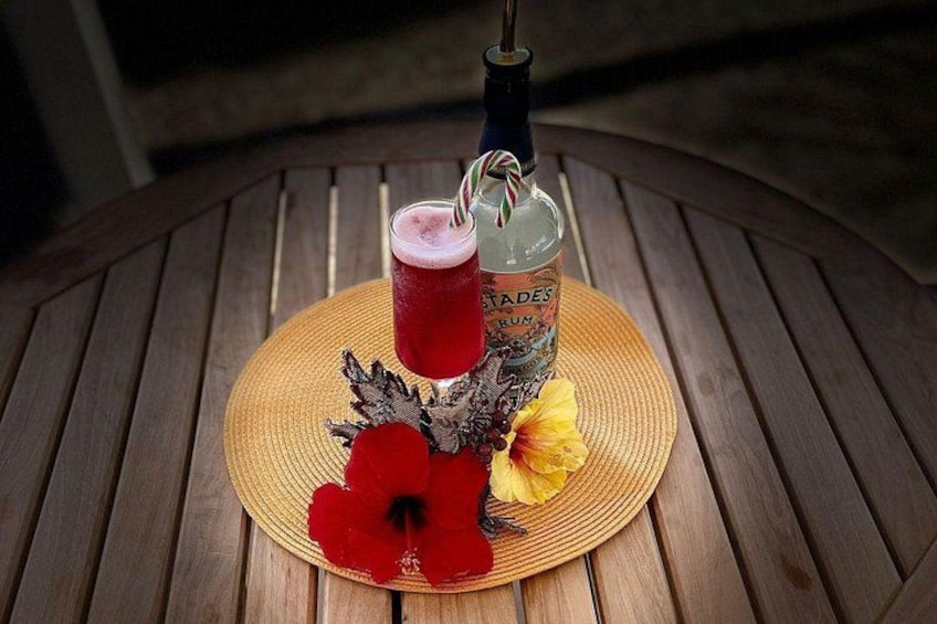 Mixology Class in Bridgetown – 10 Minutes from Cruise Terminal 2