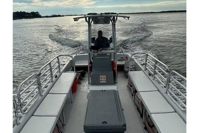 Charleston Dolphin Adventure (Private or Public) to 14 guests 4