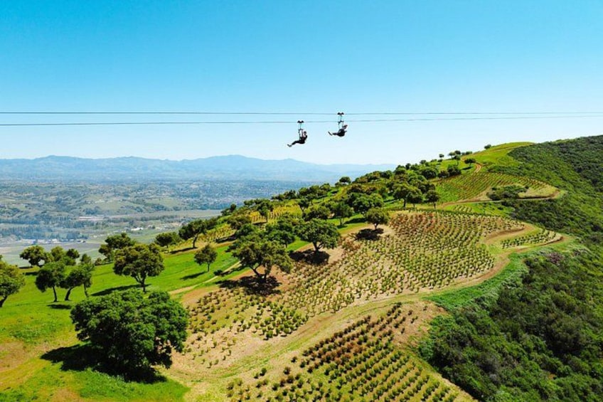 A cable car system, terraced vineyards, and rolling hills. 1