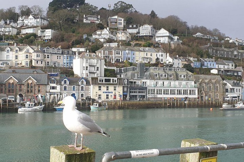 Una gaviota en un poste, un puerto con barcos y casas en una colina. 3