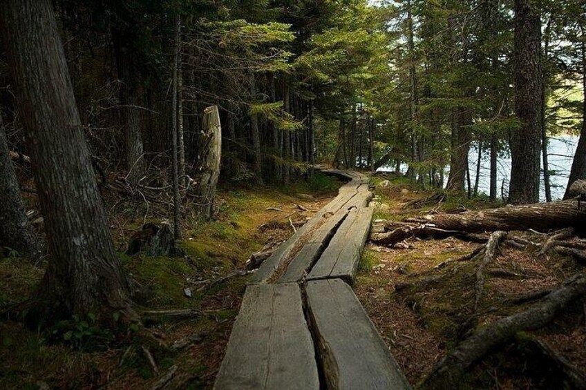 Acadia Cadillac Mountain Sunrise Half Day Private Tour & Hike 3