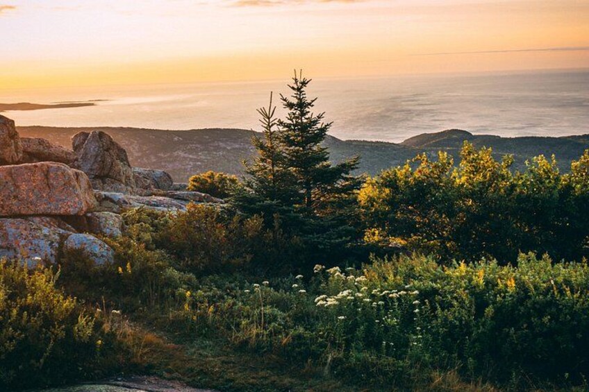 Acadia Cadillac Mountain Sunrise Half Day Private Tour & Hike 4