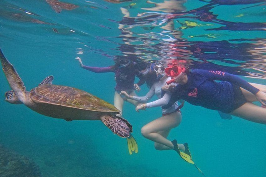 Two people snorkeling with sea turtles in clear water. 2