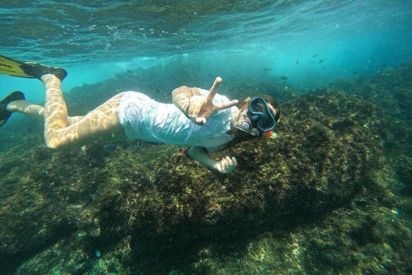 A person snorkeling underwater, wearing a snorkel and fins, near a rocky seabed. 2