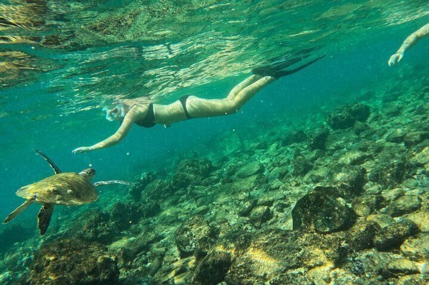 A person swimming underwater with a sea turtle nearby. 5