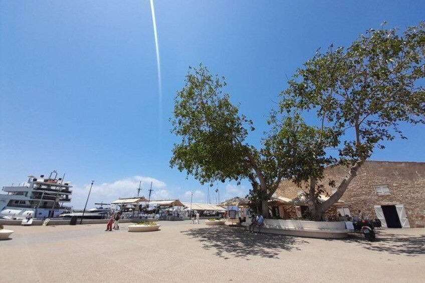 Pafos and Kourion Tour from Protaras, Aya Napa, Larnaca, Limassol 3