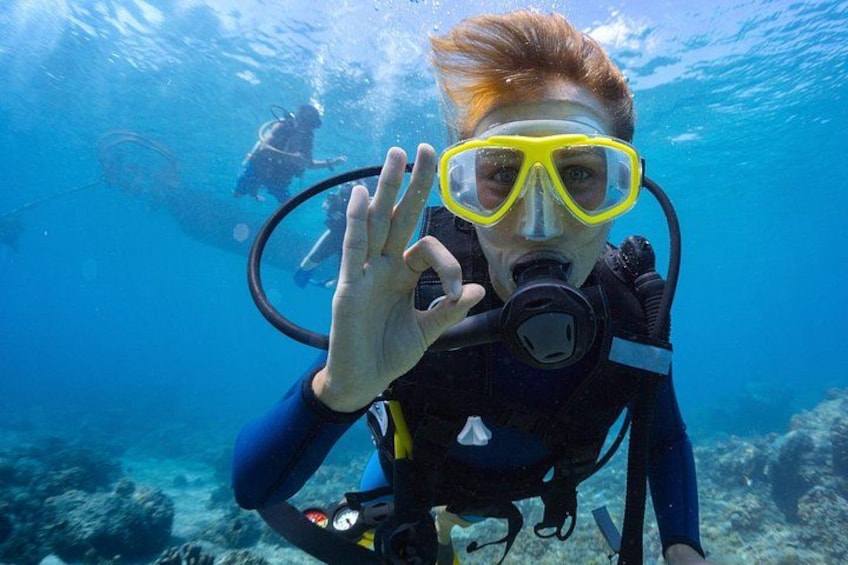 A person underwater with scuba gear, surrounded by marine life and coral reefs. 2