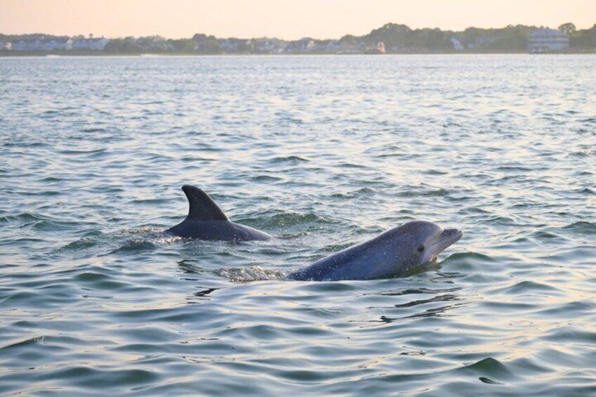 75 Minute Private Party Back Bay Sunset Cruise in Ocean City, MD 5