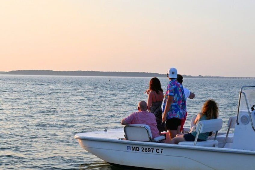 75 Minute Private Party Back Bay Sunset Cruise in Ocean City, MD 3