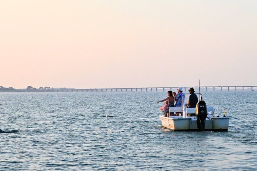 75 Minute Private Party Back Bay Sunset Cruise in Ocean City, MD 1