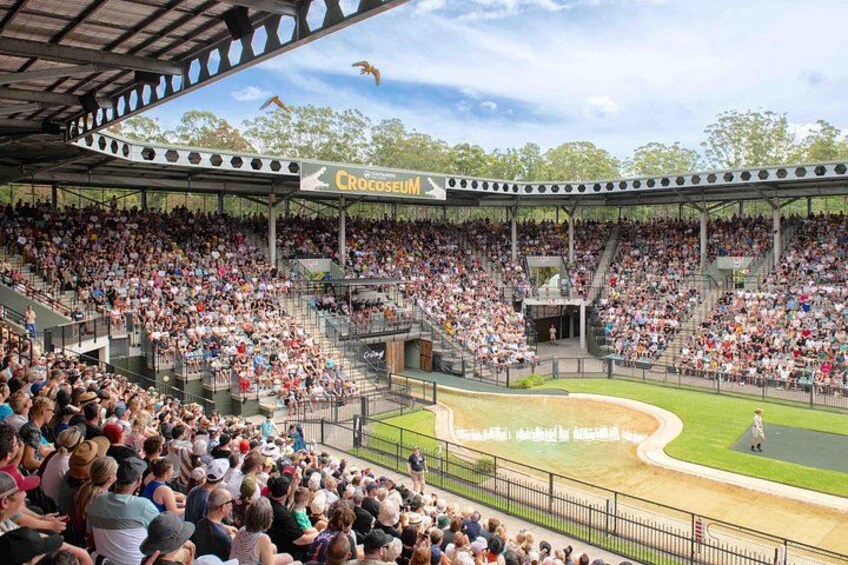 Et stadion fyldt med tilskuere, en baseballbane og et skilt med Crocoseum. 2