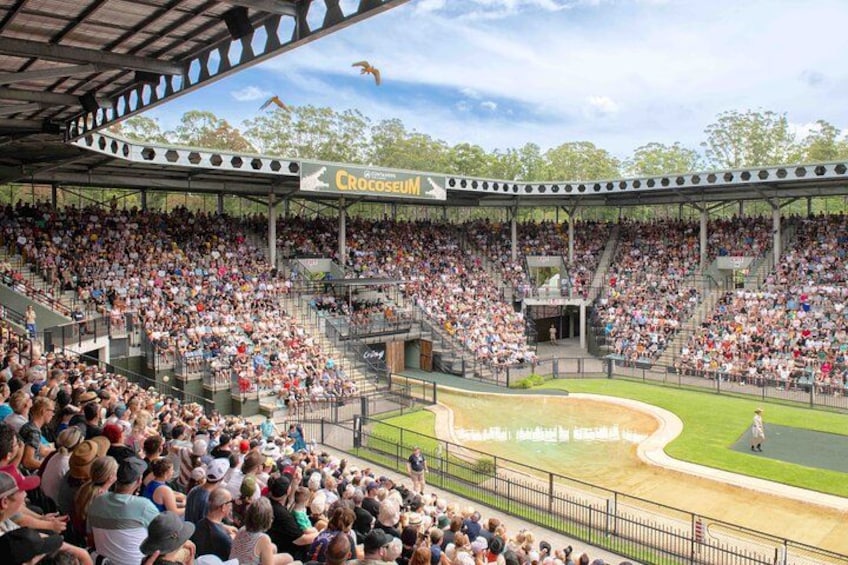 A stadium filled with spectators, a baseball field, and a Crocoseum sign. 2