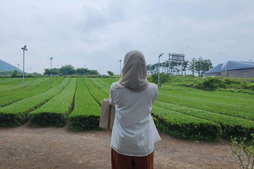 A person standing in a field of neatly arranged green crops, with a building and a control tower in the background. 4
