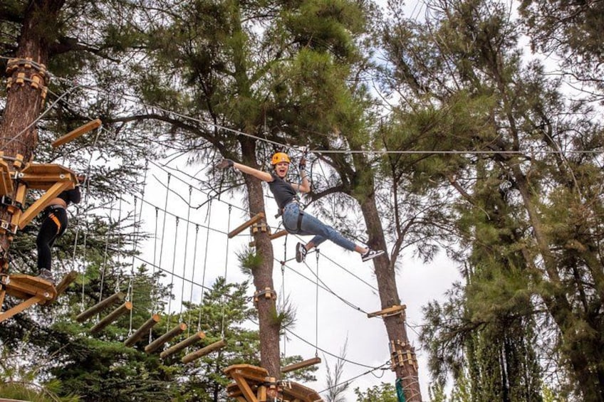 A person on a rope course between trees. 1