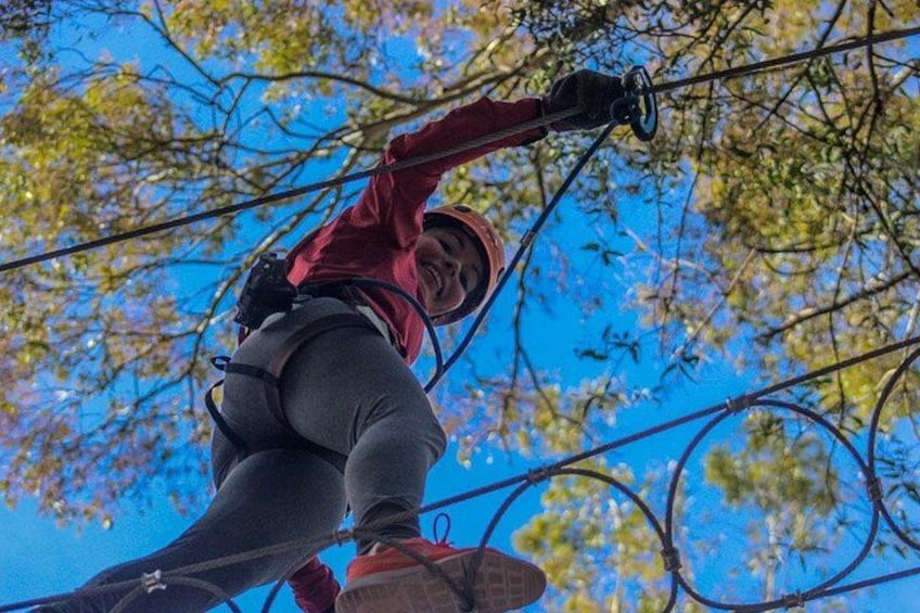 A person zip-lining through a forest with trees and a clear blue sky in the background. 3