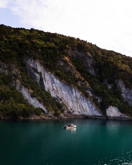 Picture 1 for Activity Wanaka: Water Taxi & Mou Waho Island Tour 4