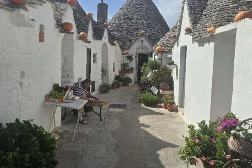 Trulli of Alberobello UNESCO, Ostuni and Locorotondo in one day 5
